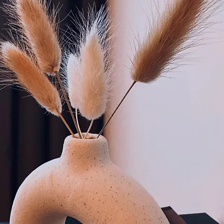 Safan I Elbnah I Balkon I Uniklinik I Parkplatz * מגדבורג