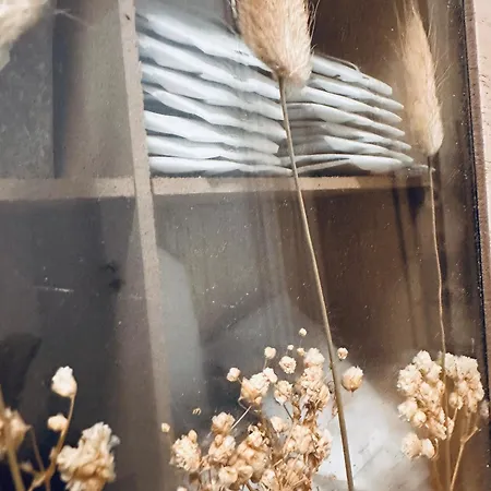 Apartament Safan I Elbnah I Balkon I Uniklinik I Parkplatz *