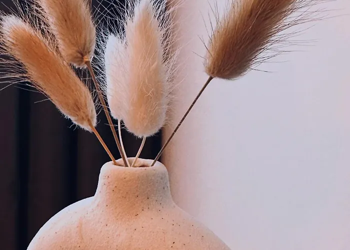 Safan I Elbnah I Balkon I Uniklinik I Parkplatz * Magdeburg